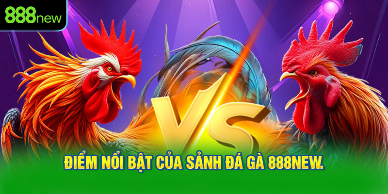 Điểm nổi bật của sảnh đá gà 888NEW.